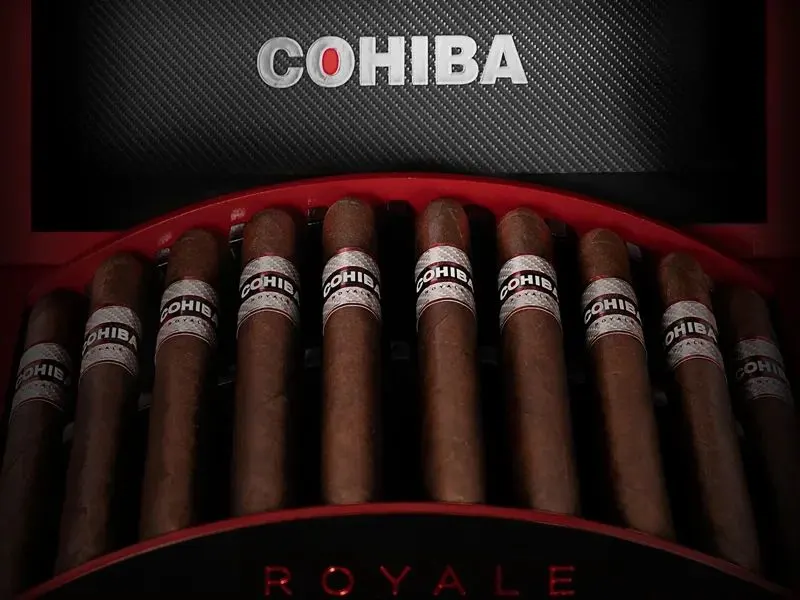 Unveiling Luxury: The Sophistication of Cohiba Royale!