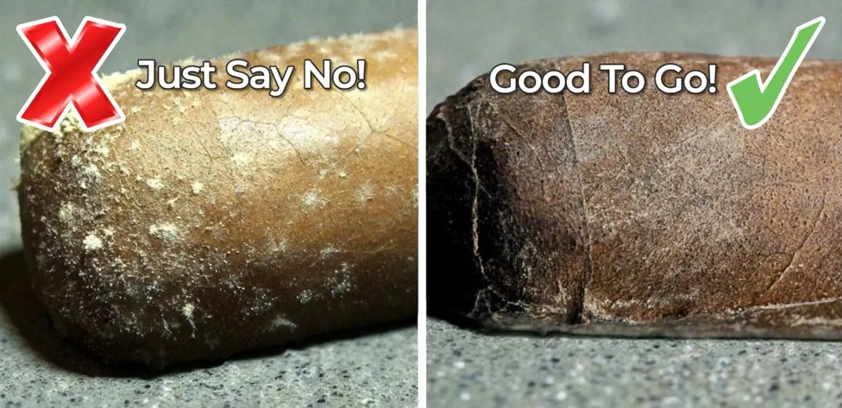 When “Plume” Is Really Mold – A Story That Happens Too Often