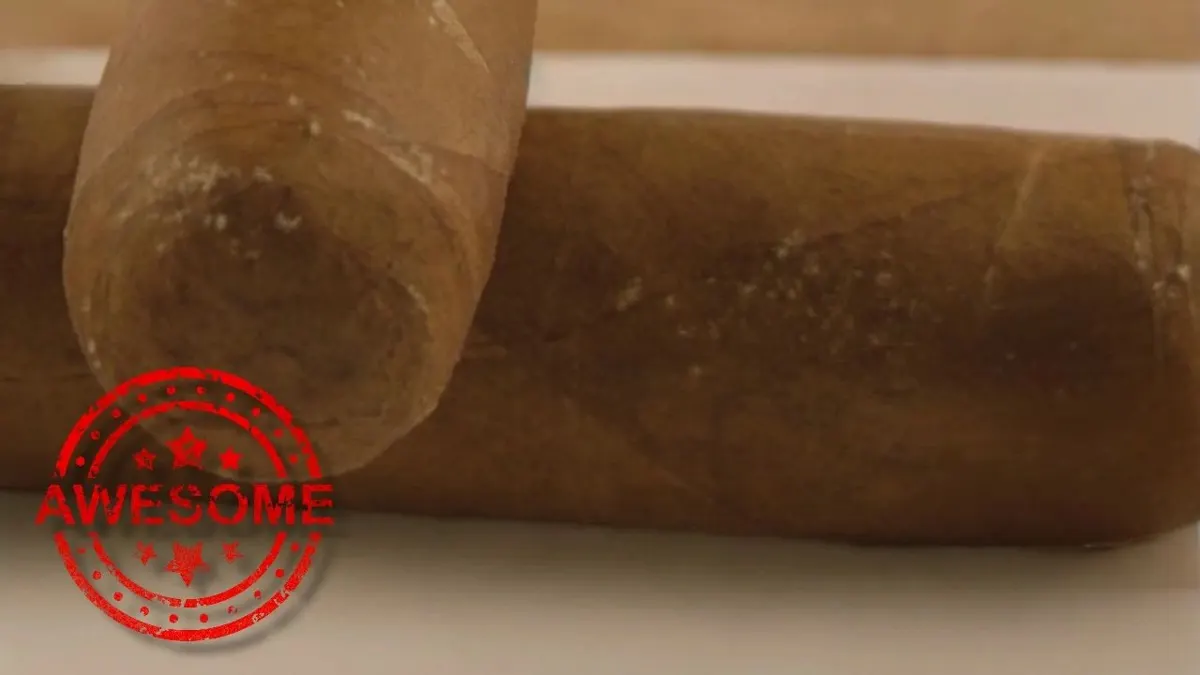 When “Plume” Is Really Mold – A Story That Happens Too Often
