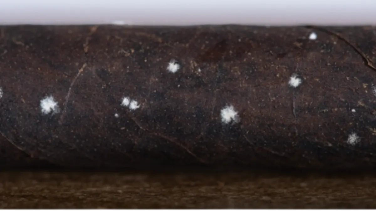 When “Plume” Is Really Mold – A Story That Happens Too Often